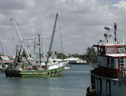 Shrimp Boat